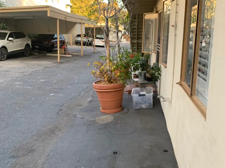 121 Maynard St #C — Photo 10