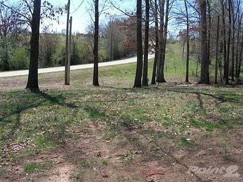 Side Yard View