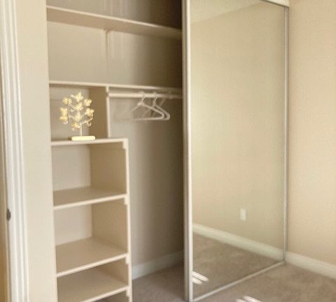 bedroom closet