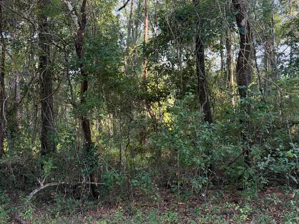Vacant Barnes Rd, Monticello, FL 32344