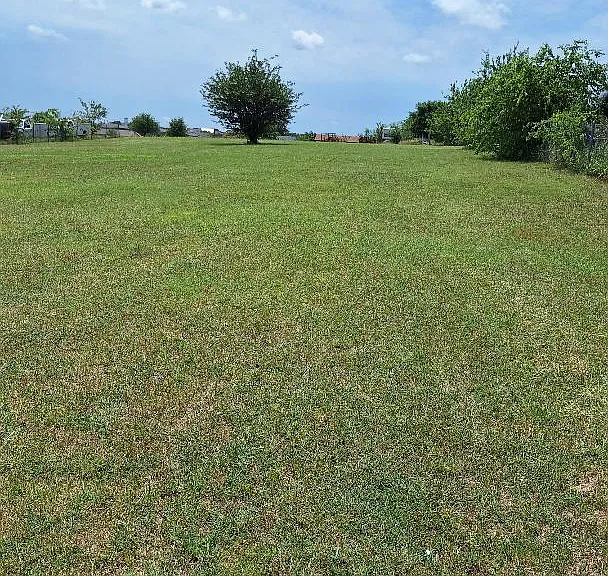 9140 Magnolia Blossom Trl — Photo 16