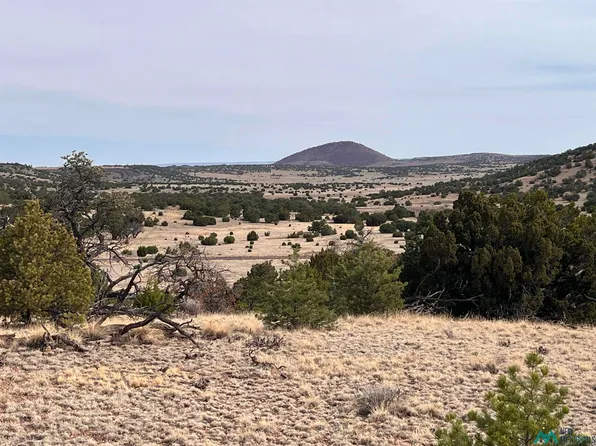 LOT 292 47 Cimarron Dr, Quemado, NM 87829