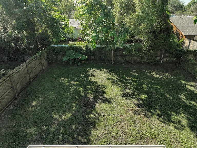 Back yard