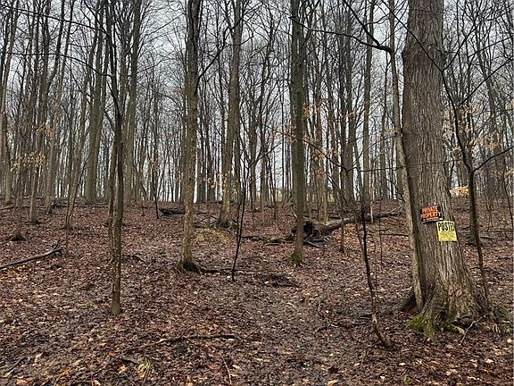 4th image of Nob Rd Lot 20