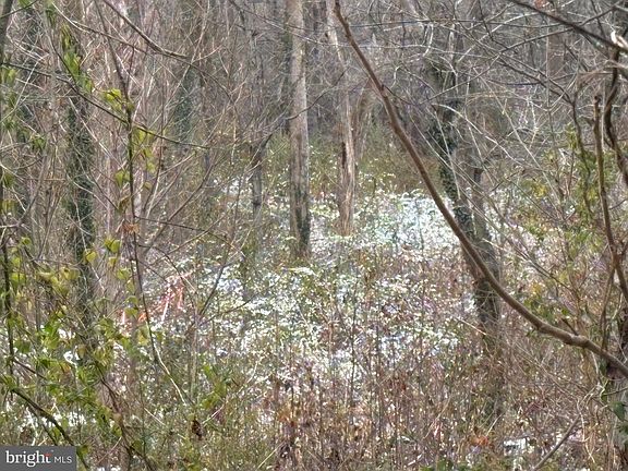 4th image of 0 Main St