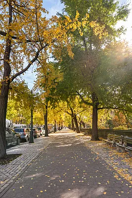 Rented by Corcoran | media 24