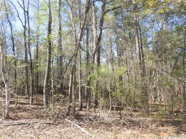 0 Clements Rd, Cottondale, AL 35453