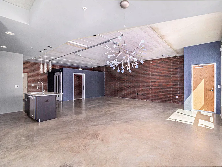 300 Hamilton St #204 — Photo 4
