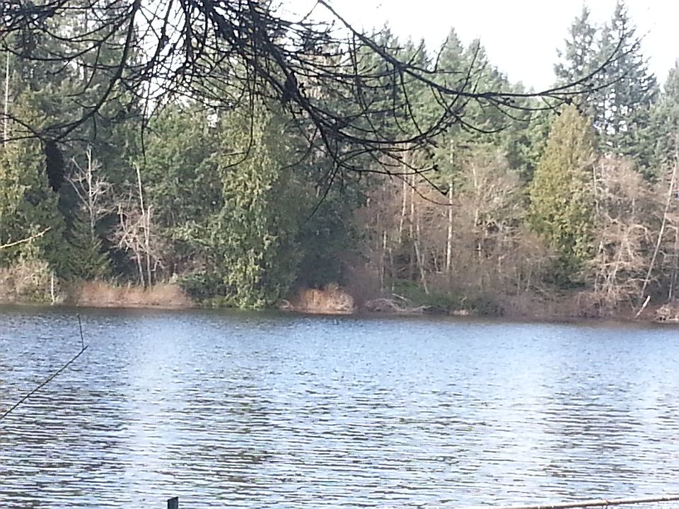 Lake View, right of Property