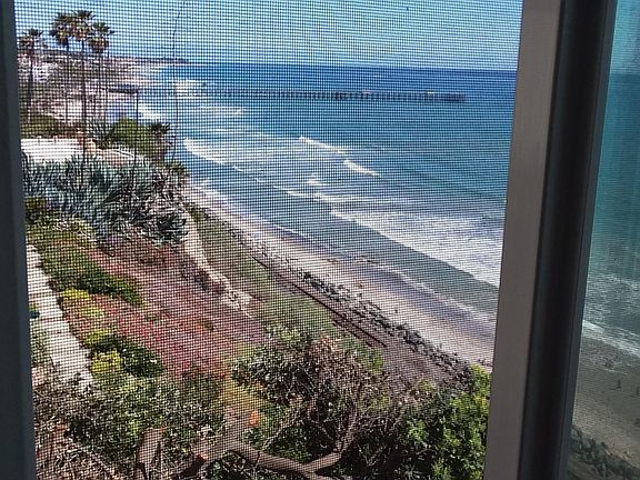 View from dining room