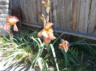 555 Richland Rd, San Marcos, CA 92069