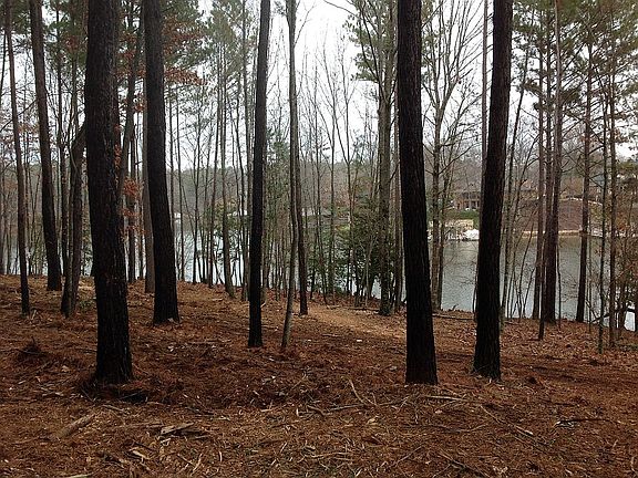 5th image of 120 White Fawn Cir