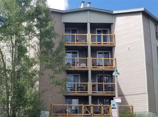 Treehouse, Silverthorne, CO 80498