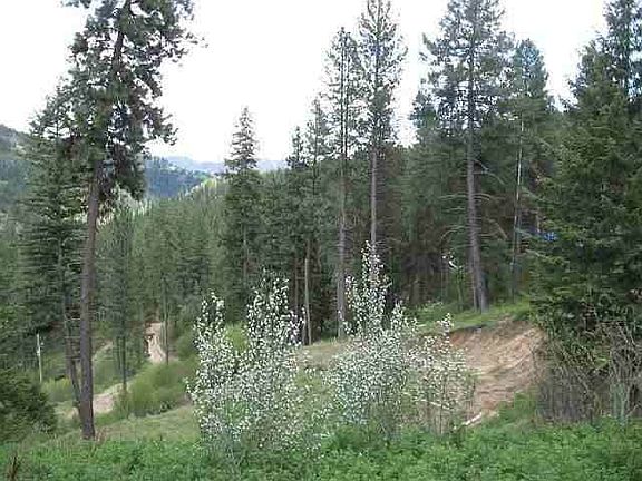 5th image of 6 Ponderosa Cir