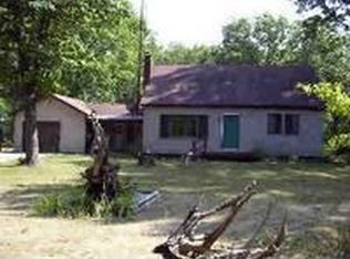 4887 E Barothy Rd, Custer, MI 49405