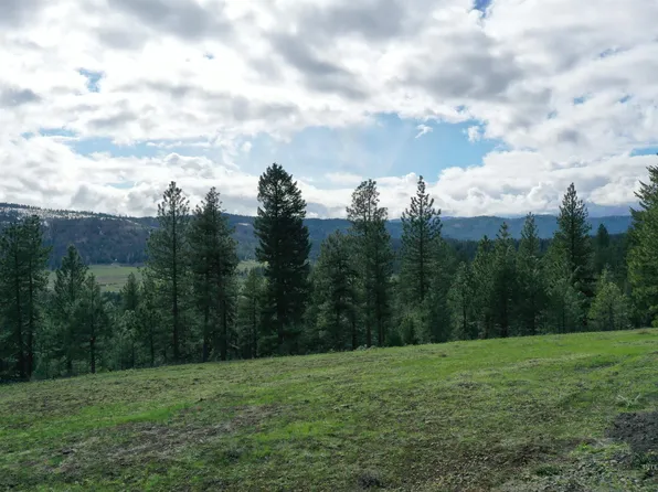 12 Tamarack View Dr, New Meadows, ID 83654