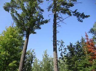 PARCEL Four D Bailey Shores Rd, Mohawk, MI 49950