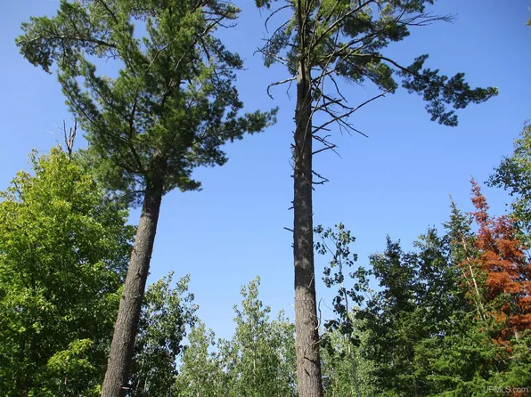 PARCEL Four D Bailey Shores Rd, Mohawk, MI 49950