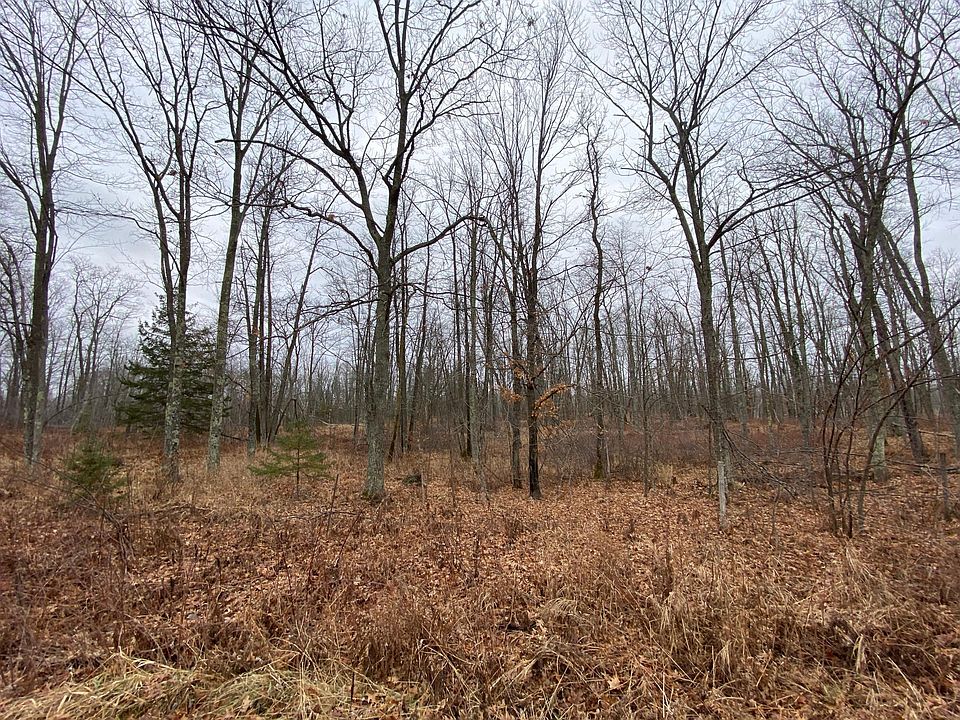 1st image of 55695 Tamarack Pine Dr