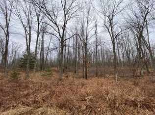 55695 Tamarack Pine Dr, Sandstone, MN 55072