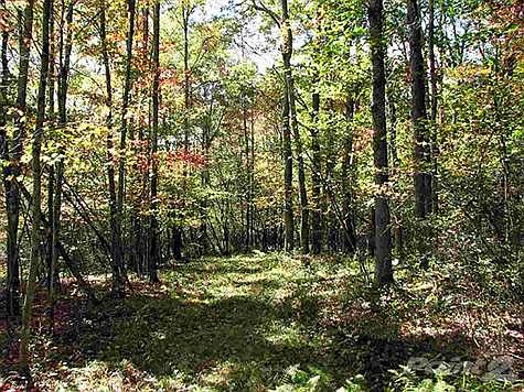 5th image of 630 County Road 116