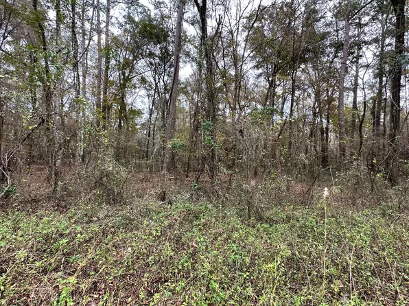 12th Terrace Lot 3, Live Oak, FL 32060