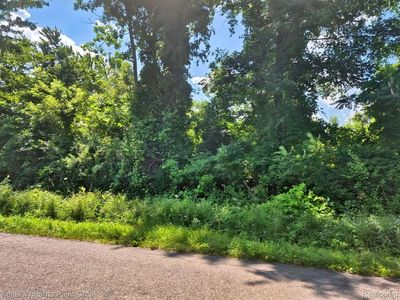 Vacant Bellman Ave, Utica, MI, 48316