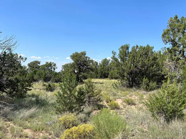 W Homestead Rd, Fence Lake, NM 87315