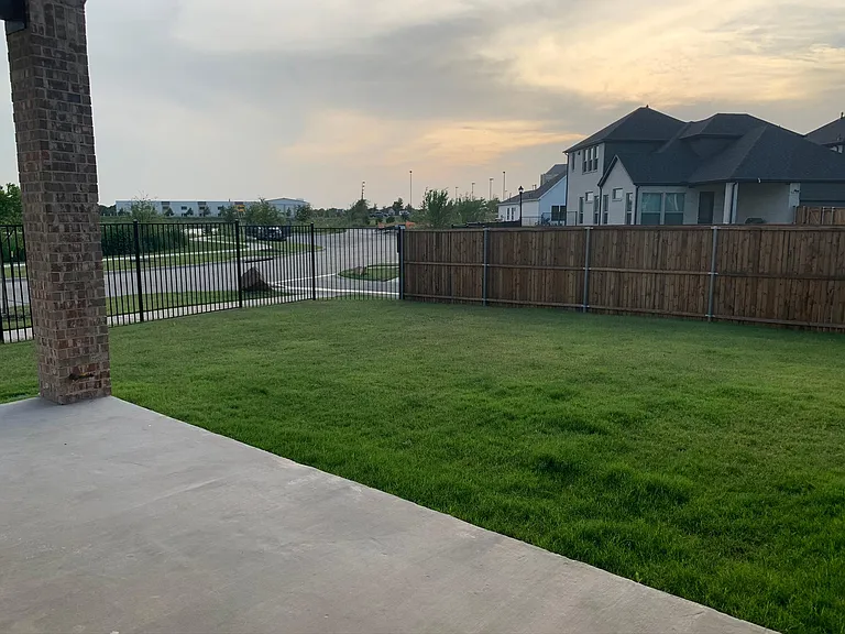 Huge backyard