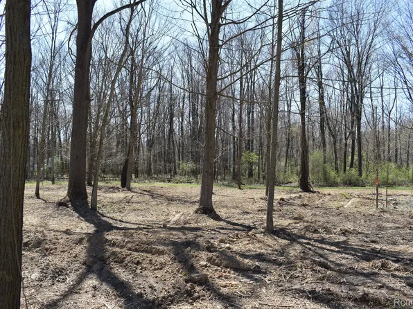 P 8 W Allen Rd, Fowlerville, MI 48836