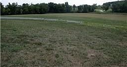 9.94 Acres Of Open Fields