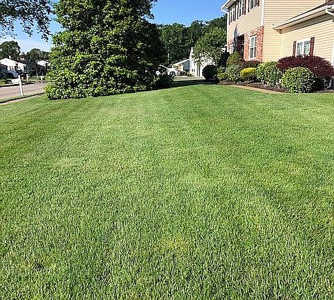 3rd image of 336 Twin Oaks Dr