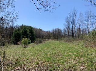 0 Legge Hill Rd #2, Candor, NY 13743