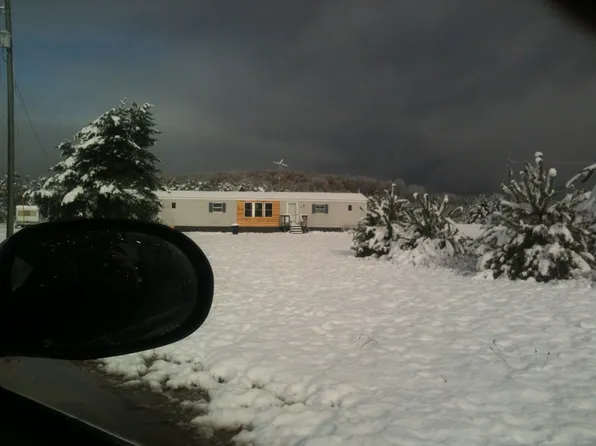 6225 Smith Rd, Rapid City, MI 49676