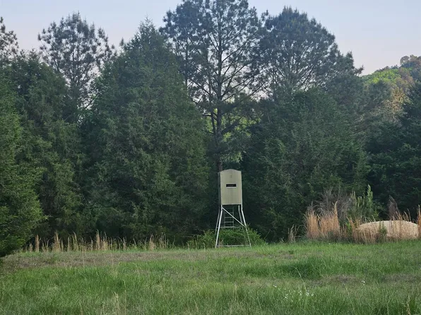 8200 Owls Hollow Rd, Gadsden, AL 35901