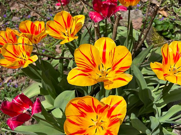 60th image of this home