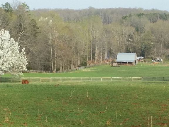 4 Rail Fence Lines Property
