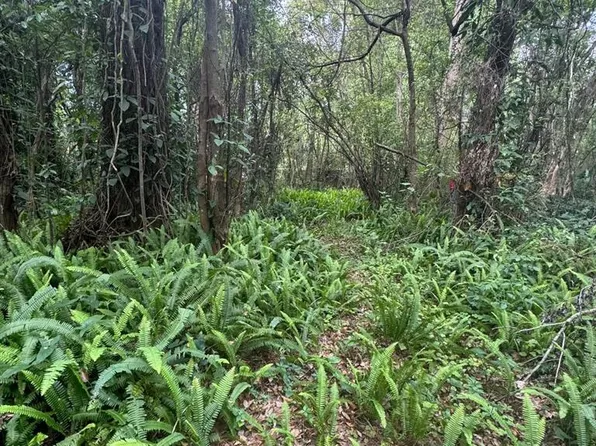 JONES AVENUE LOT 3, SANFORD, FL 32773