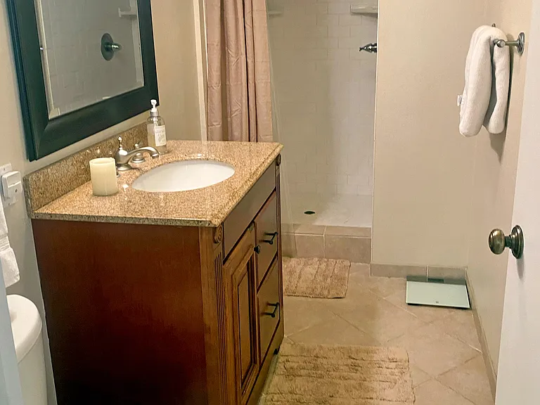 Bathroom with tile shower and granite vanity.