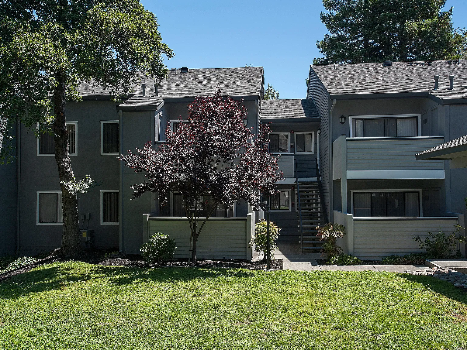 Plum Tree Apartments — Photo 3