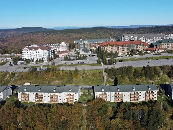 280 Summit Dr #106-D, Snowshoe, WV 26209