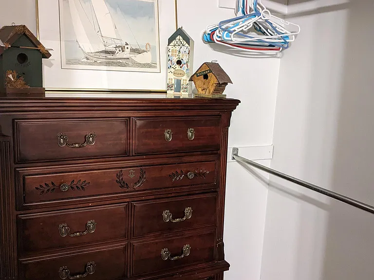 Guest bedroom walk-in closet