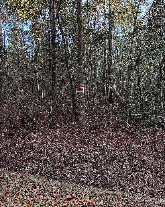 1st image of 0 Coral St #789