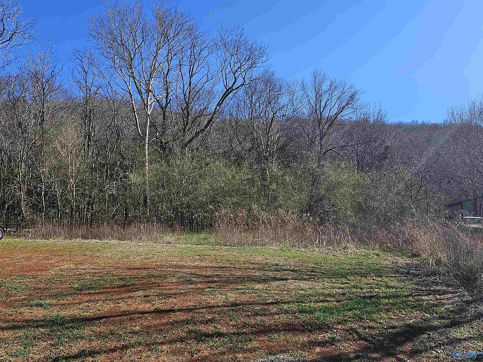 1st image of 232 Deer Trace Pkwy