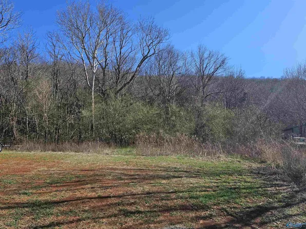 232 Deer Trace Pkwy, New Market, AL 35761