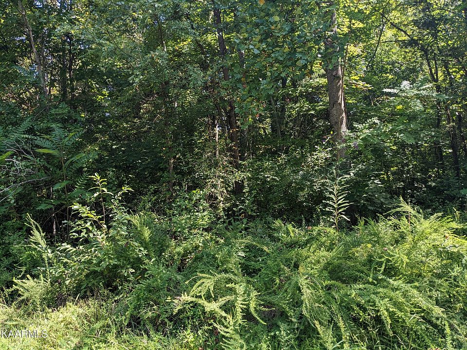 1st image of 1427 Hillside Pl