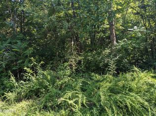 1427 Hillside Pl, White Pine, TN 37890