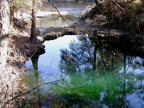 5th image of Suwannee Riverfront Lot 1 Acre Luraville Fl