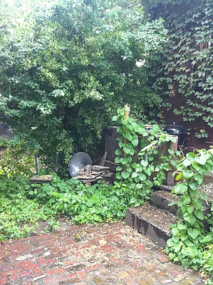 Rented by Plymouth Electric Inc. | media 27