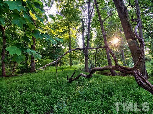 2nd image of W Winmore Ave Lot 137